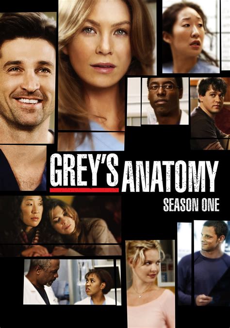 anatomia de grey temporada 1 torrent